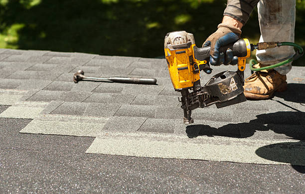 Best Roof Gutter Cleaning  in Forestville, MD