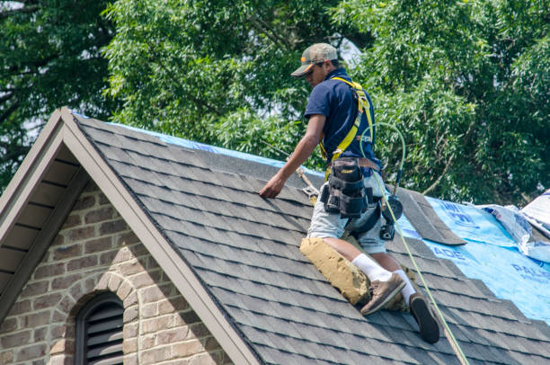 Best Roof Maintenance Services  in Forestville, MD